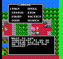 Dragon Warrior 4 NES Counter